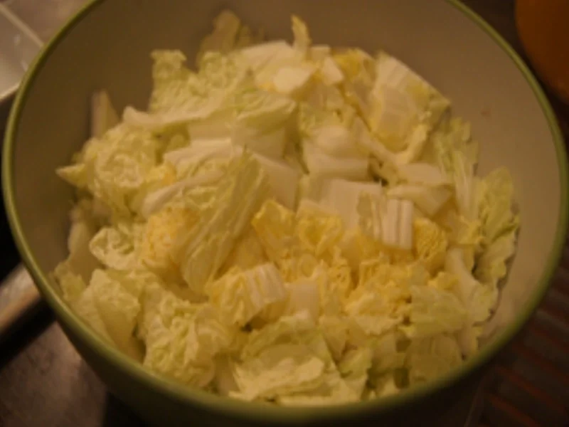 Lachsfilet auf gebratenen Chinakohl - Rezept - Bild Nr. 14975