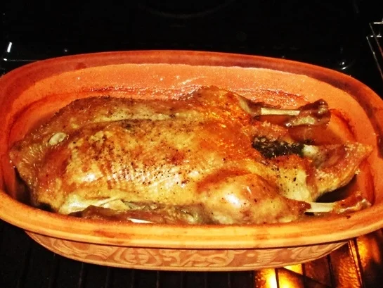 Ente aus dem Römertopf - Rezept - Bild Nr. 14962