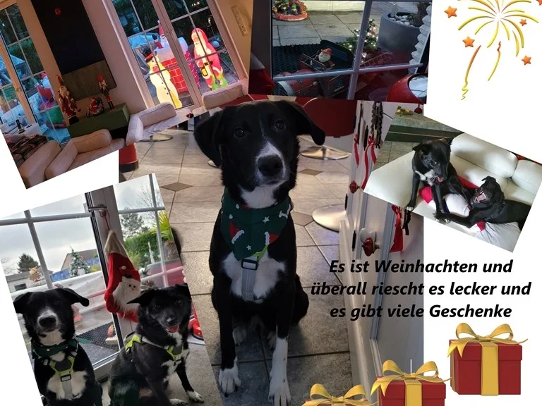 Karamelisierter Biskuit mit Marzipan Sahne Creme als Törtchen zur kochbar Challenge 2021 - Rezept - Bild Nr. 3