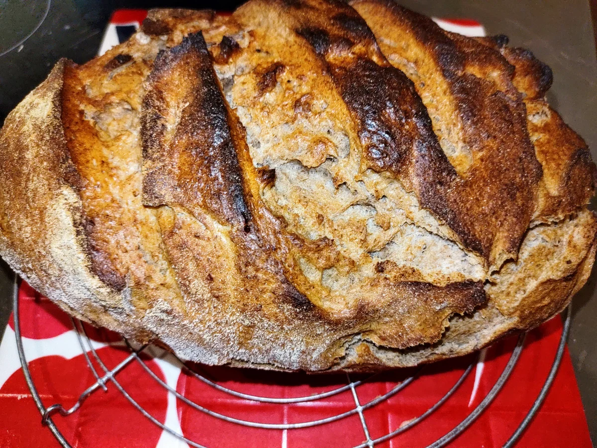 Mischbrot aus dem Römertopf - Rezept - Bild Nr. 14974