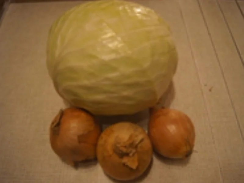 Tschechisches Kraut süß-sauer - Rezept - Bild Nr. 14974