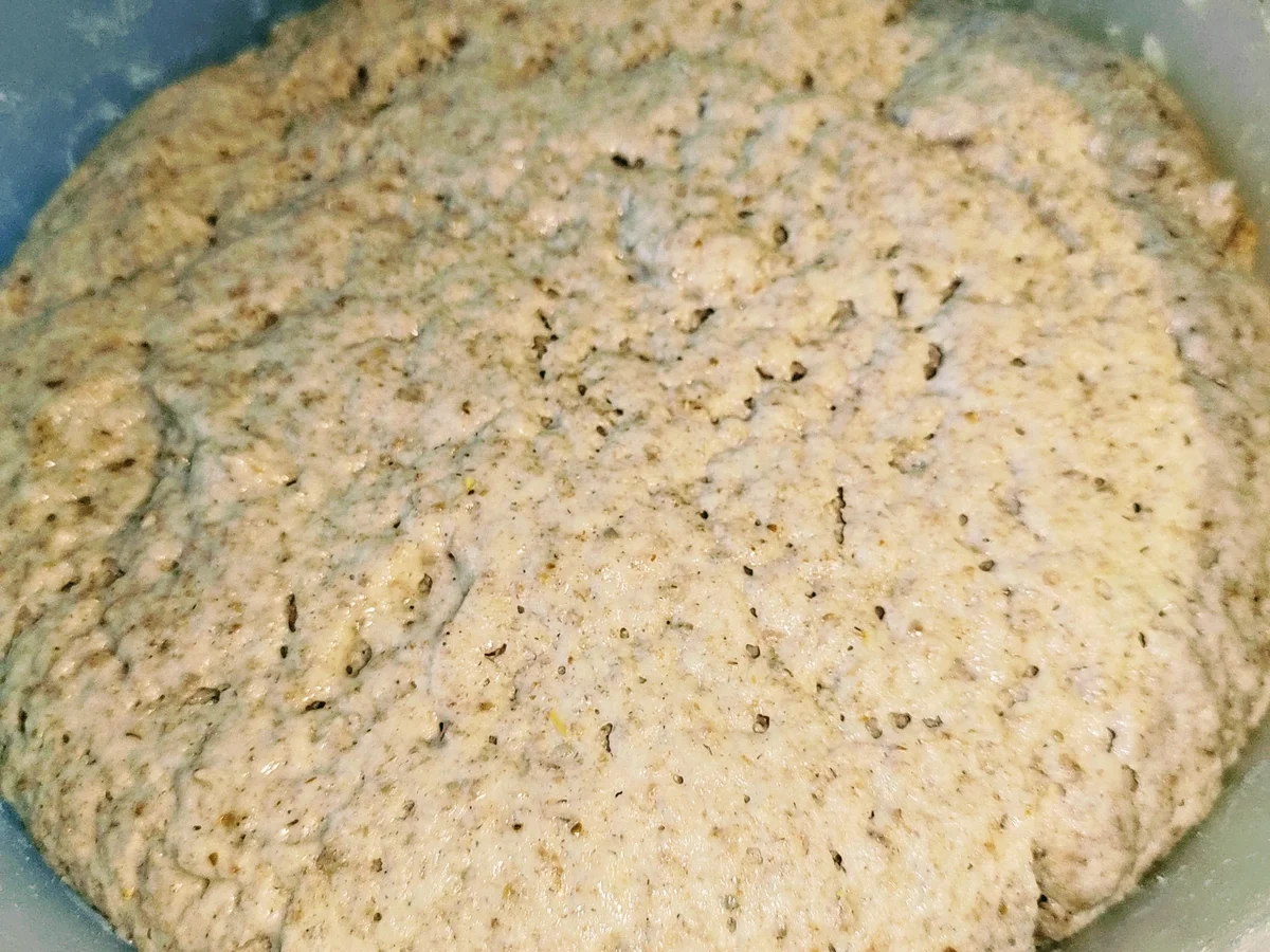 Schusterjungen aus Sauerteig - Rezept - Bild Nr. 14981