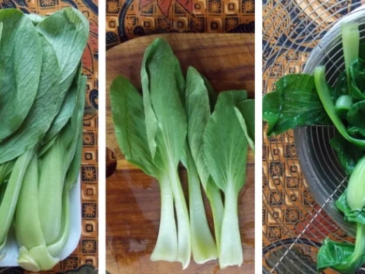 Buntes Cap Cay mit Pak Choi ala Dapoer Sriwidi - Rezept - Bild Nr. 14982