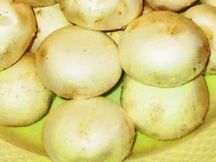 Rezept: Pikant gefüllte Champignons auf Feldsalat-zur kochbar Challenge 2021 Bild Nr. 15102 Pikant gefüllte Champignons auf Feldsalat-zur kochbar Challenge 2021 - Rezept - Bild Nr. 15102