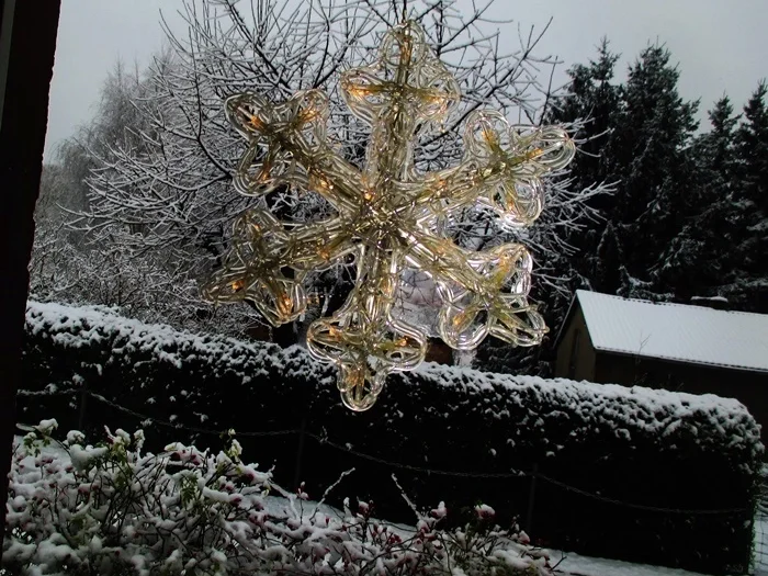 Rezept: Pikant gefüllte Champignons auf Feldsalat-zur kochbar Challenge 2021 Bild Nr. 15106 Pikant gefüllte Champignons auf Feldsalat-zur kochbar Challenge 2021 - Rezept - Bild Nr. 15106