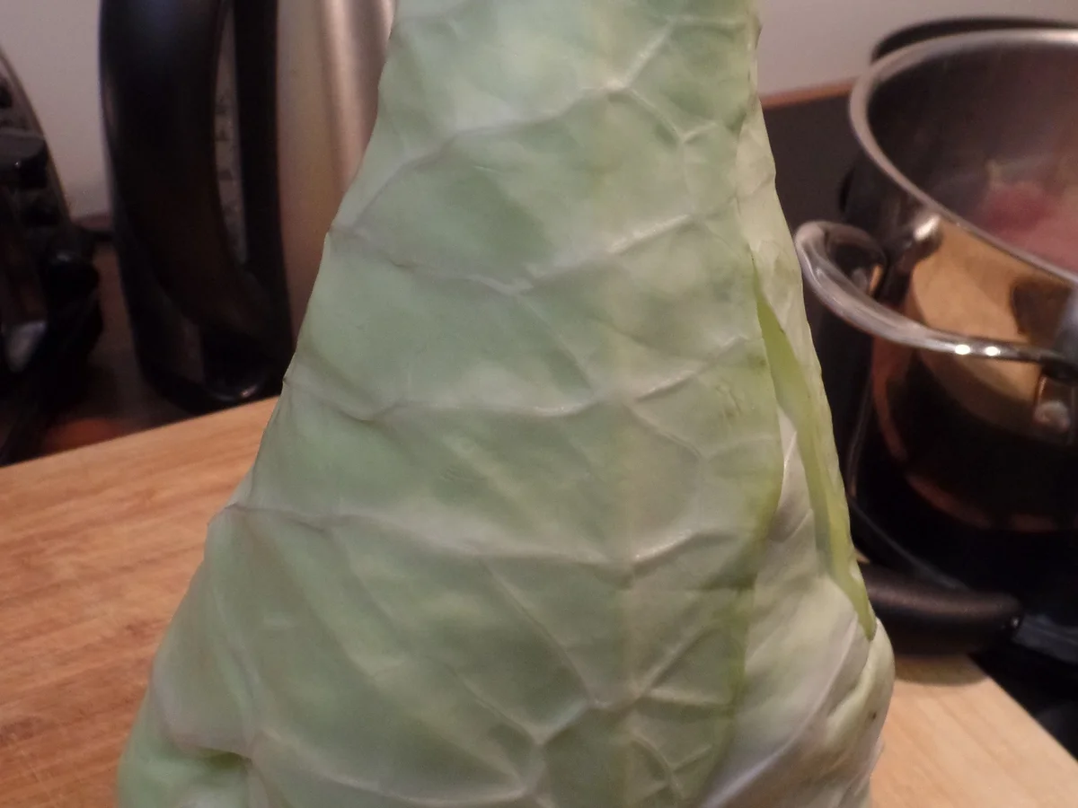 Zanderfilets auf Spitzkohl und Sahneschaum - Rezept - Bild Nr. 15105