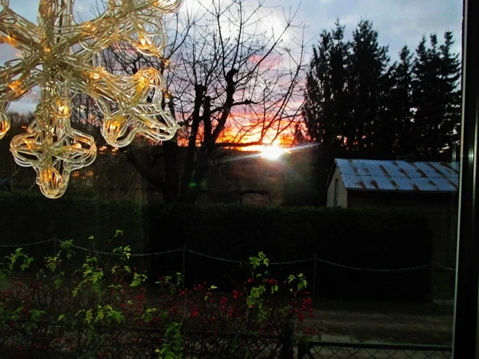 Rezept: Minestrone-zur kochbar Challenge 2021 Bild Nr. 15099 Minestrone-zur kochbar Challenge 2021 - Rezept - Bild Nr. 15099