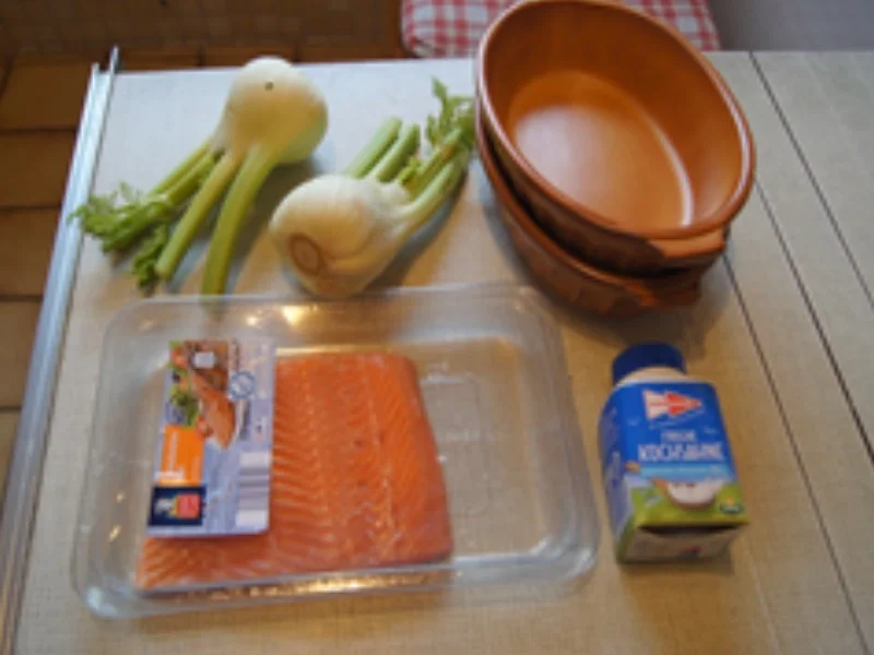 Lachs auf Curry-Sahne-Fenchelgemüse - Rezept - Bild Nr. 15155