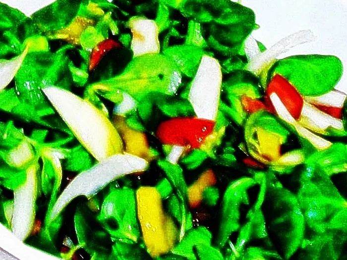 Marinierte Gänsebrust auf pikantem Feldsalat zur kochbar Challenge 2021 - Rezept - Bild Nr. 15169