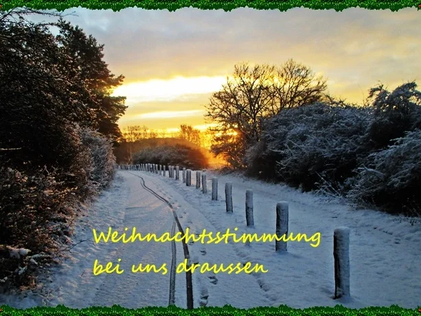 Marinierte Gänsebrust auf pikantem Feldsalat zur kochbar Challenge 2021 - Rezept - Bild Nr. 15174