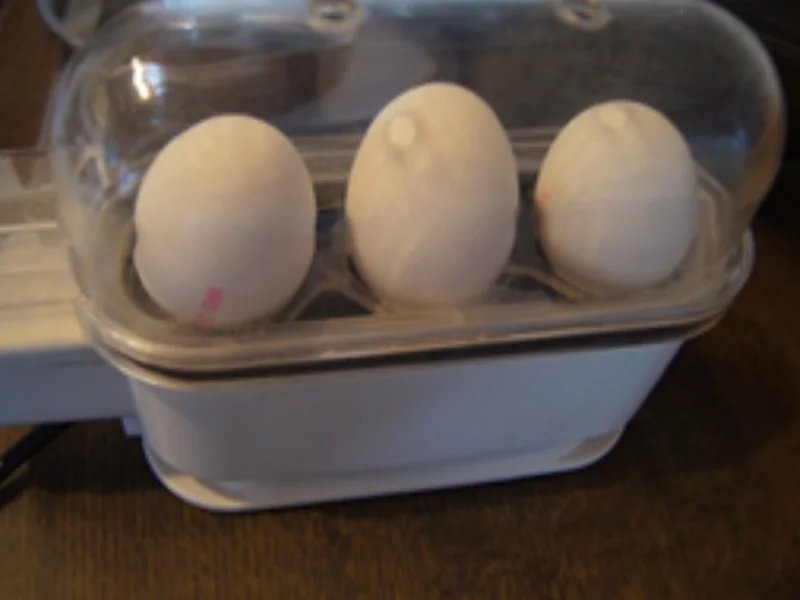 Eiercurry mit Kümmel-Drillingen - Rezept - Bild Nr. 15170