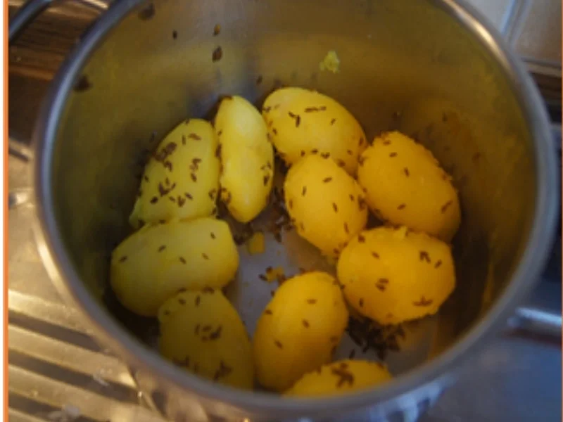 Eiercurry mit Kümmel-Drillingen - Rezept - Bild Nr. 15185