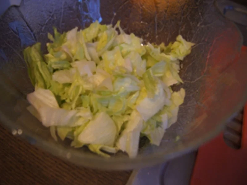 Rezept: Eisbergsalat mit Thunfischfilet, Orange, Zwiebel und Ei Bild Nr. 15179 Eisbergsalat mit Thunfischfilet, Orange, Zwiebel und Ei - Rezept - Bild Nr. 15179