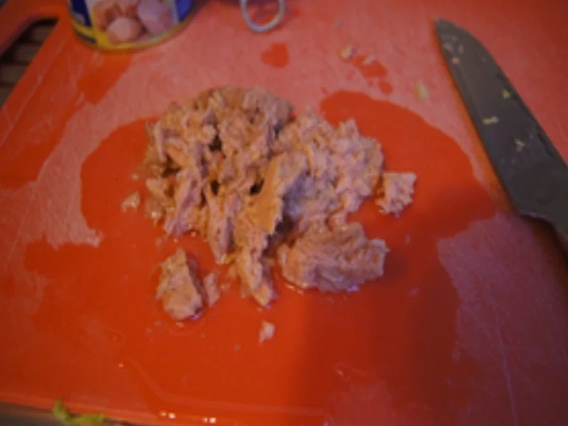 Rezept: Eisbergsalat mit Thunfischfilet, Orange, Zwiebel und Ei Bild Nr. 15180 Eisbergsalat mit Thunfischfilet, Orange, Zwiebel und Ei - Rezept - Bild Nr. 15180