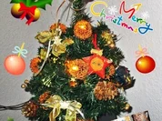 Ente gefüllt mit Champignons zur kochbar Challenge 2021 - Rezept - Bild Nr. 15177