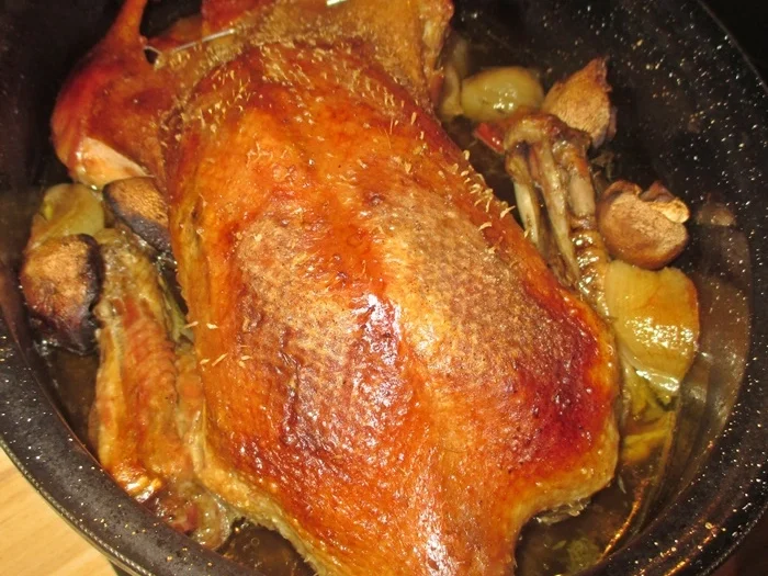 Rezept: Ente gefüllt mit Champignons zur kochbar Challenge 2021 Bild Nr. 15179 Ente gefüllt mit Champignons zur kochbar Challenge 2021 - Rezept - Bild Nr. 15179