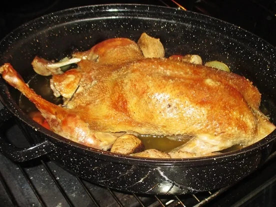 Rezept: Ente gefüllt mit Champignons zur kochbar Challenge 2021 Bild Nr. 15180 Ente gefüllt mit Champignons zur kochbar Challenge 2021 - Rezept - Bild Nr. 15180