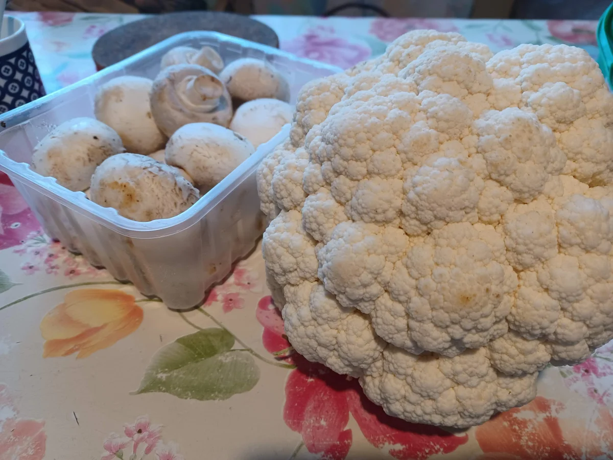 Schmorrippchen - Rezept - Bild Nr. 15242