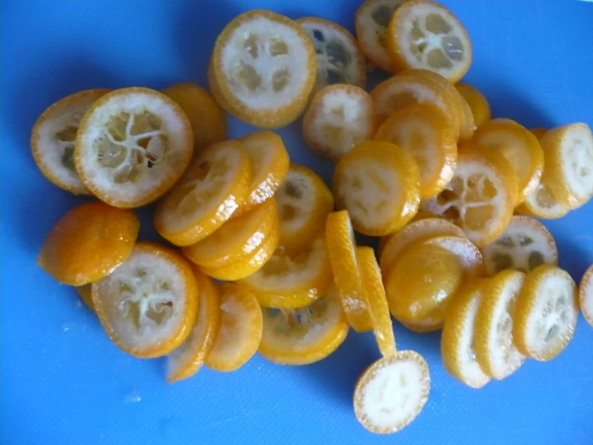 Entenbrust mit Kumquats - Rezept - Bild Nr. 15236