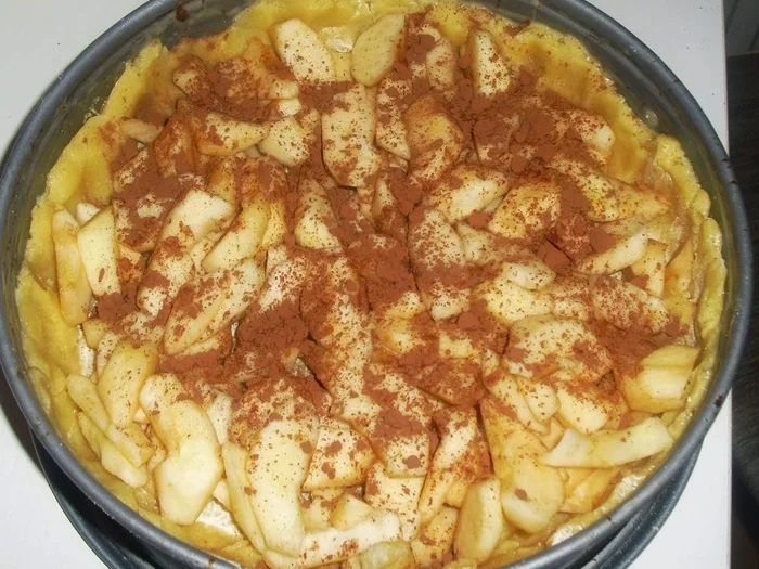 Rezept: Apfel-Pudding-Kuchen - zur kochbar Challenge 2021 Bild Nr. 15237 Apfel-Pudding-Kuchen - zur kochbar Challenge 2021 - Rezept - Bild Nr. 15237