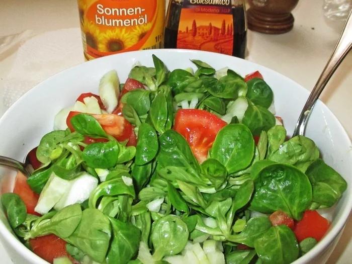 Zanderfilet mit buntem Feldsalat - Rezept - Bild Nr. 15256