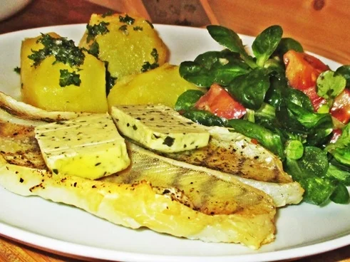 Zanderfilet mit buntem Feldsalat - Rezept - Bild Nr. 15258