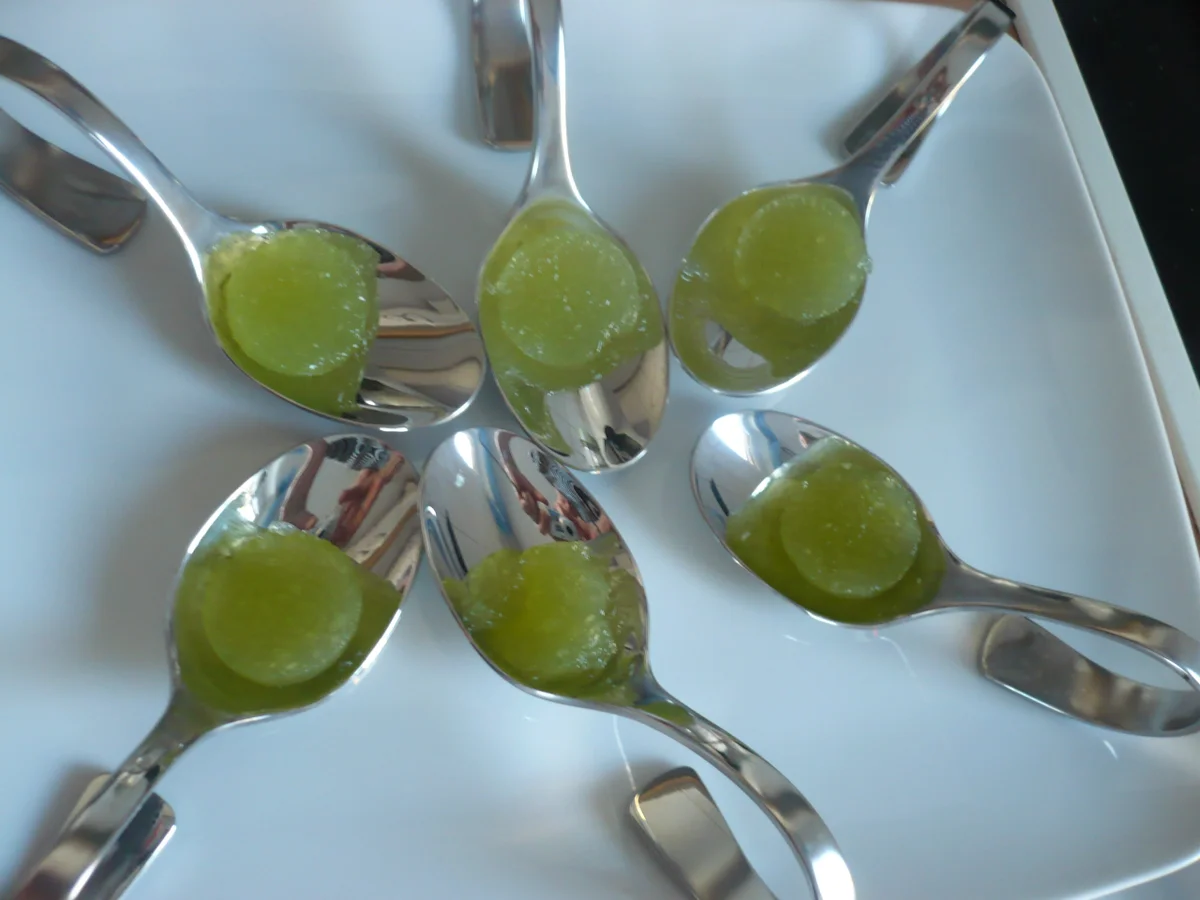 Gurken Gelee mit Räucherlachs und Feigensenfcreme - Rezept - Bild Nr. 15261