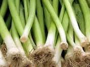 Fischfilet auf Lauch-Nudeln - Rezept