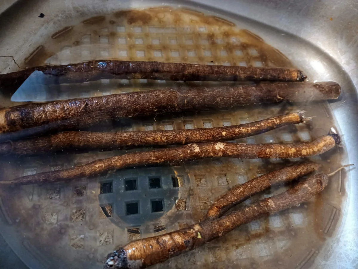 Schwarzwurzeln - Gemüsebeilage - Rezept - Bild Nr. 15273