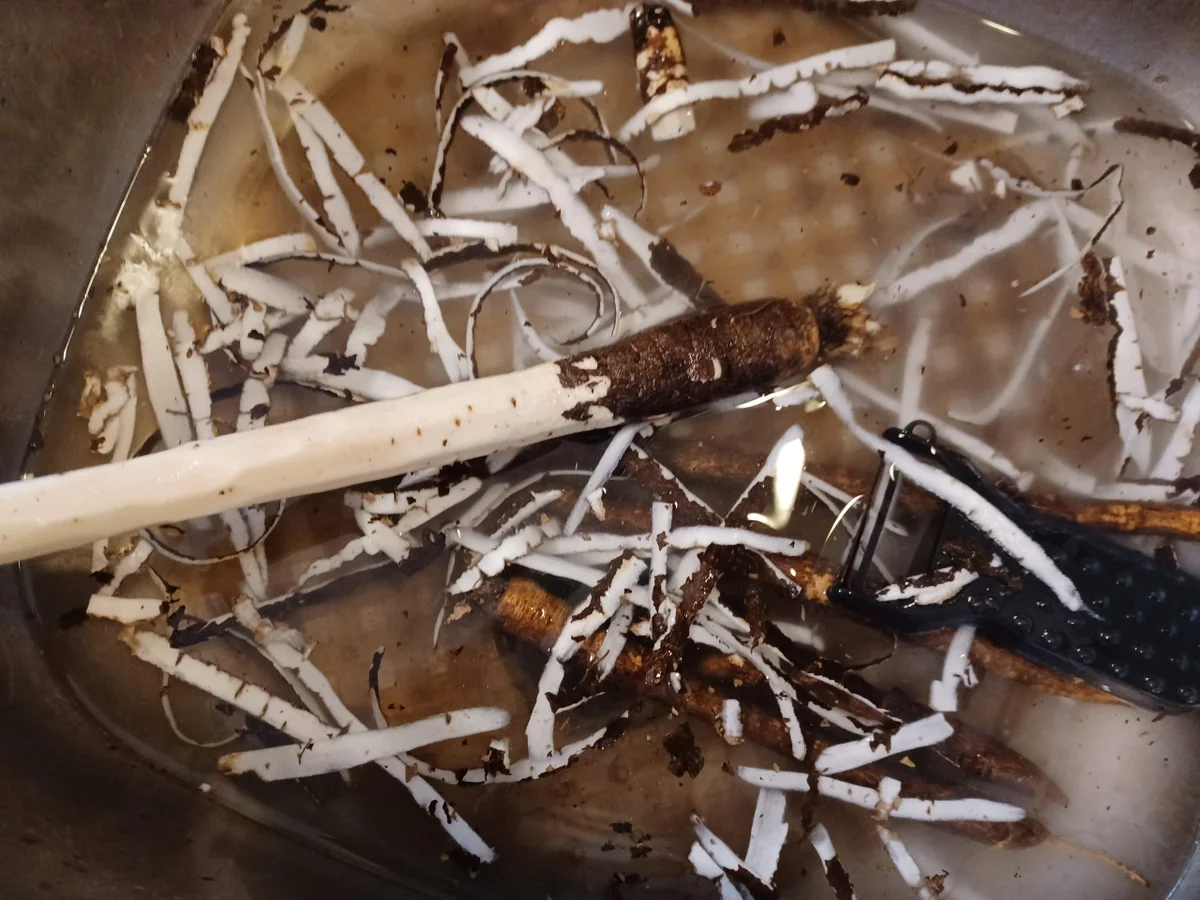 Schwarzwurzeln - Gemüsebeilage - Rezept - Bild Nr. 15274