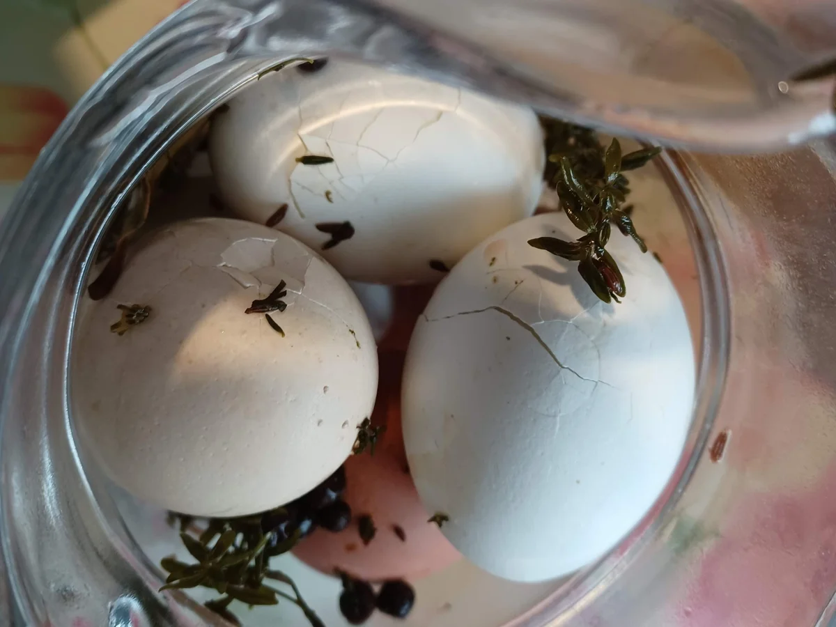 Soleier mit Roter Beete - Rezept - Bild Nr. 15301