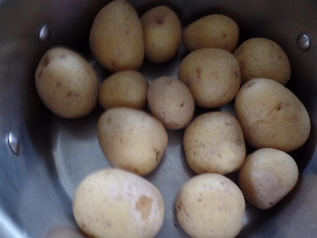 Pikanter-Kartoffelsalat mit Würstchen - Rezept - Bild Nr. 15295