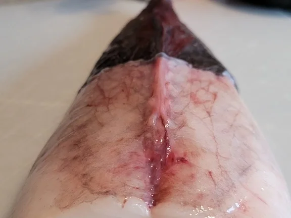 Rezept: Biggi`s lecker Flotte Lotte (Seeteufel) zur kochbar Challenge Januar 2022 Bild Nr. 15296 Biggi`s lecker Flotte Lotte (Seeteufel) zur kochbar Challenge Januar 2022 - Rezept - Bild Nr. 15296