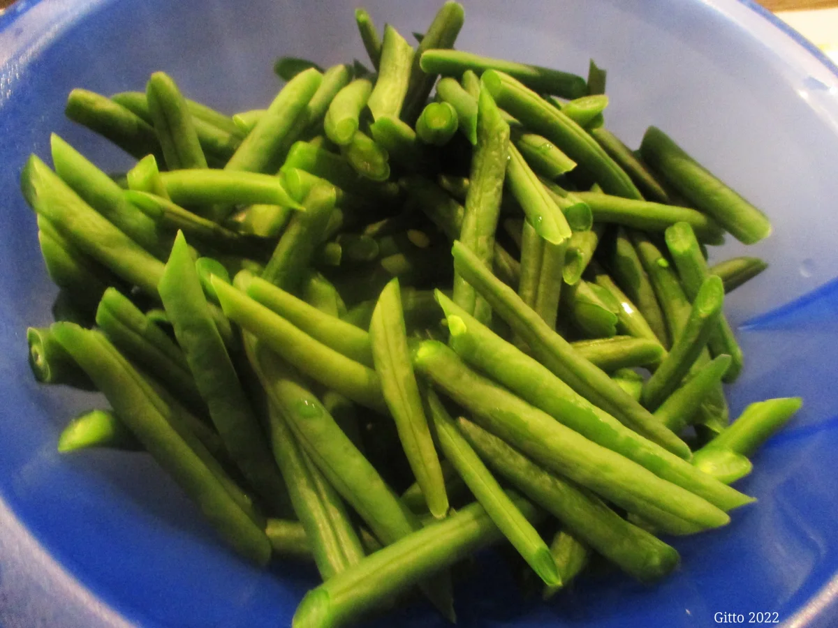 Rezept: Bohnen in Thymian-Tomatensoße Bild Nr. 15297 Bohnen in Thymian-Tomatensoße - Rezept - Bild Nr. 15297