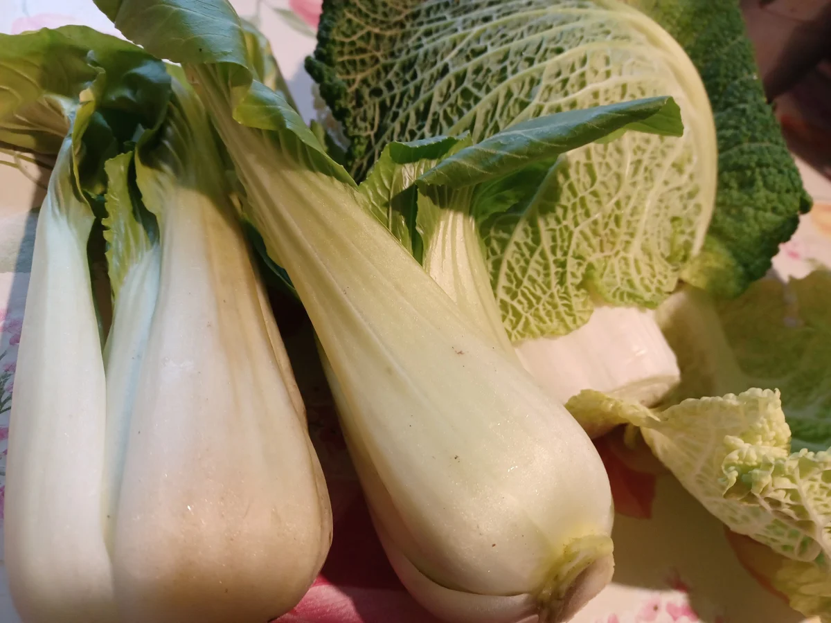 Stielmus mit Hackbällchen - Rezept - Bild Nr. 5