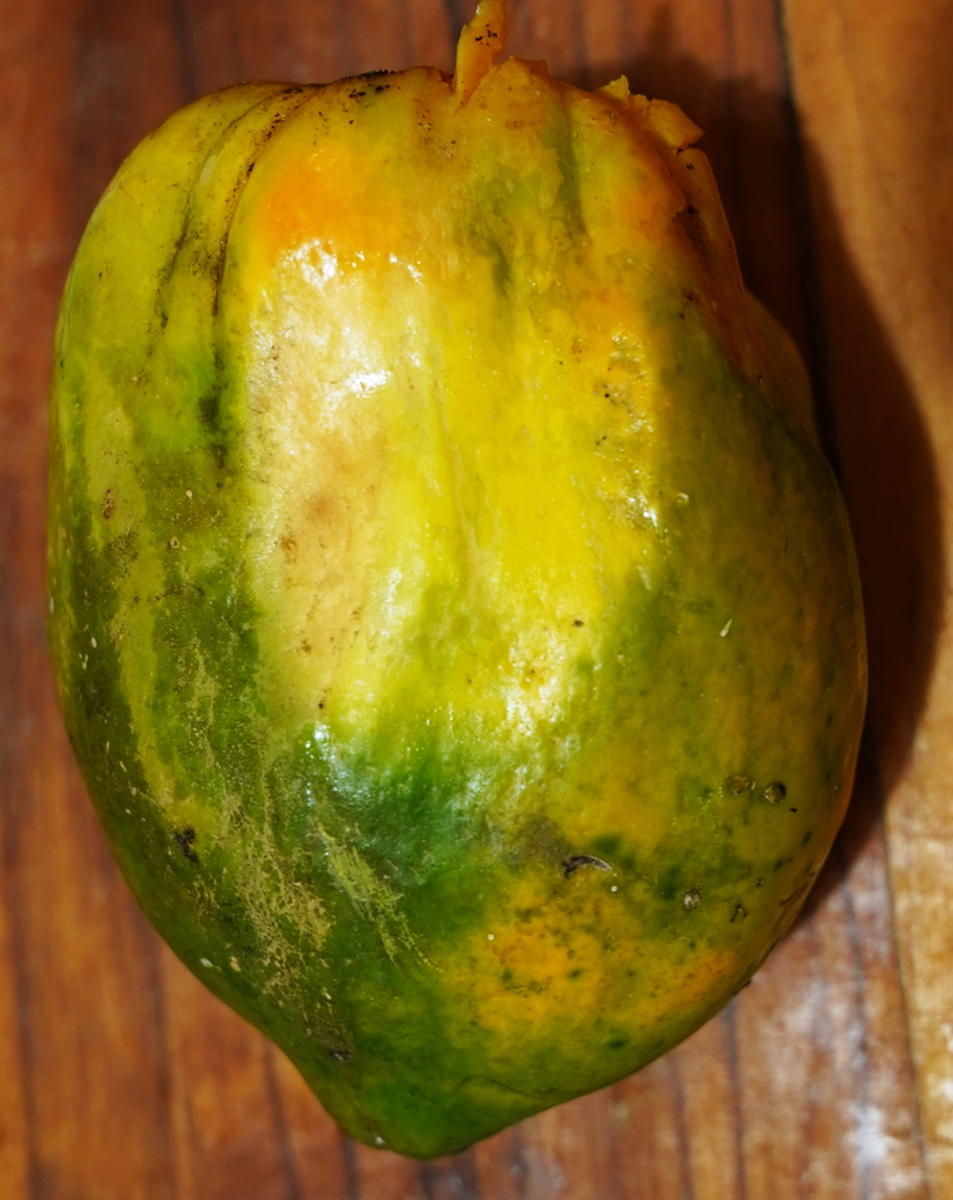 Würzig-scharfe Papayasuppe mit Garnelen - Rezept - Bild Nr. 3