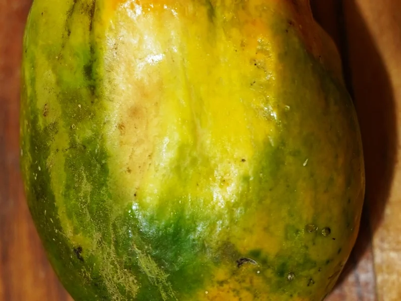 Würzig-scharfe Papayasuppe mit Garnelen - Rezept - Bild Nr. 3