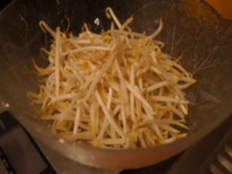 Rezept: Sojasprossensalat mit Paprika und Frühlingszwiebeln Bild Nr. 4 Sojasprossensalat mit Paprika und Frühlingszwiebeln - Rezept - Bild Nr. 4