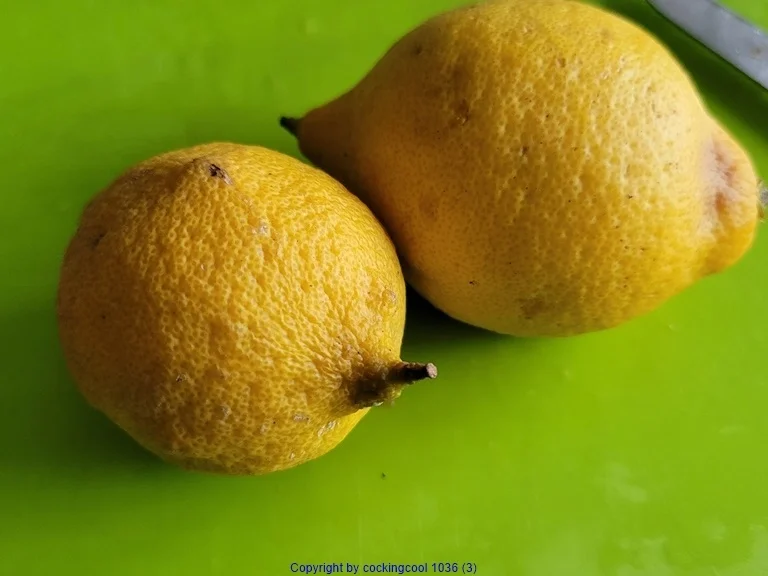 Rezept: Biggi`s Zitronenhuhn aus dem Ofen (One Pot) Bild Nr. 15326 Biggi`s Zitronenhuhn aus dem Ofen (One Pot) - Rezept - Bild Nr. 15326