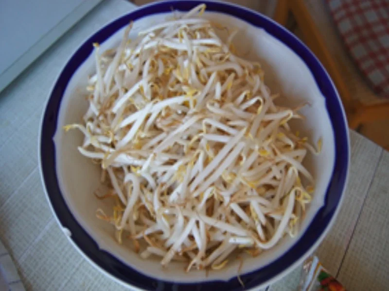 Frittierter Tofu mit Mie-Bratnudeln - Rezept - Bild Nr. 15341