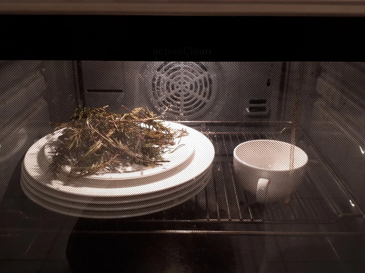 Scaloppine di Marsala - Rezept - Bild Nr. 15570