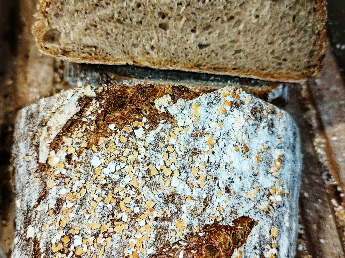 Rezept: Helles Mischbrot. Bild Nr. 15328 Helles Mischbrot. - Rezept - Bild Nr. 15328