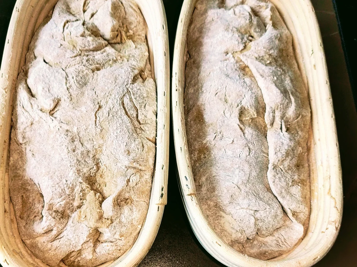 Rezept: Helles Mischbrot. Bild Nr. 15332 Helles Mischbrot. - Rezept - Bild Nr. 15332