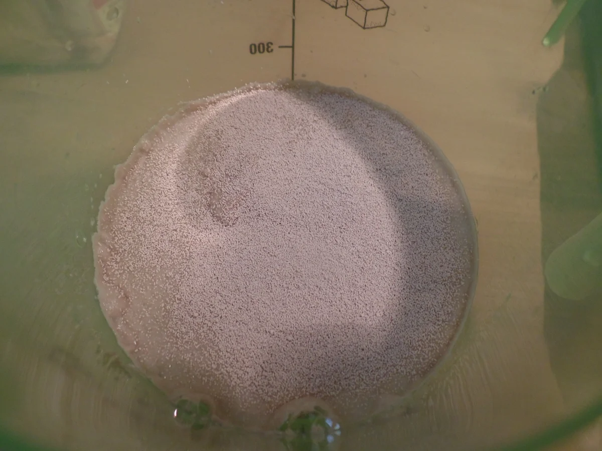 Rezept: Dinkelbrot Bild Nr. 15351 Dinkelbrot - Rezept - Bild Nr. 15351