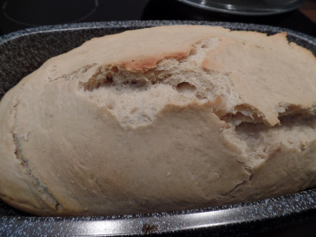 Dinkelbrot - Rezept - Bild Nr. 15360