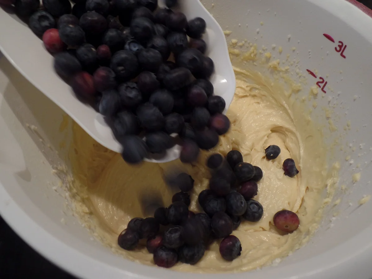 Heidelbeer-Muffins - Rezept - Bild Nr. 15358