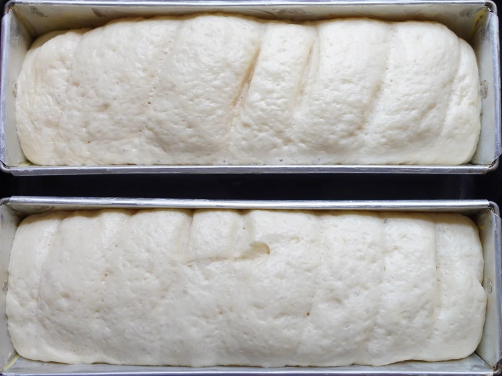 Luftige Baguettes ala Antibes - Rezept - Bild Nr. 15435