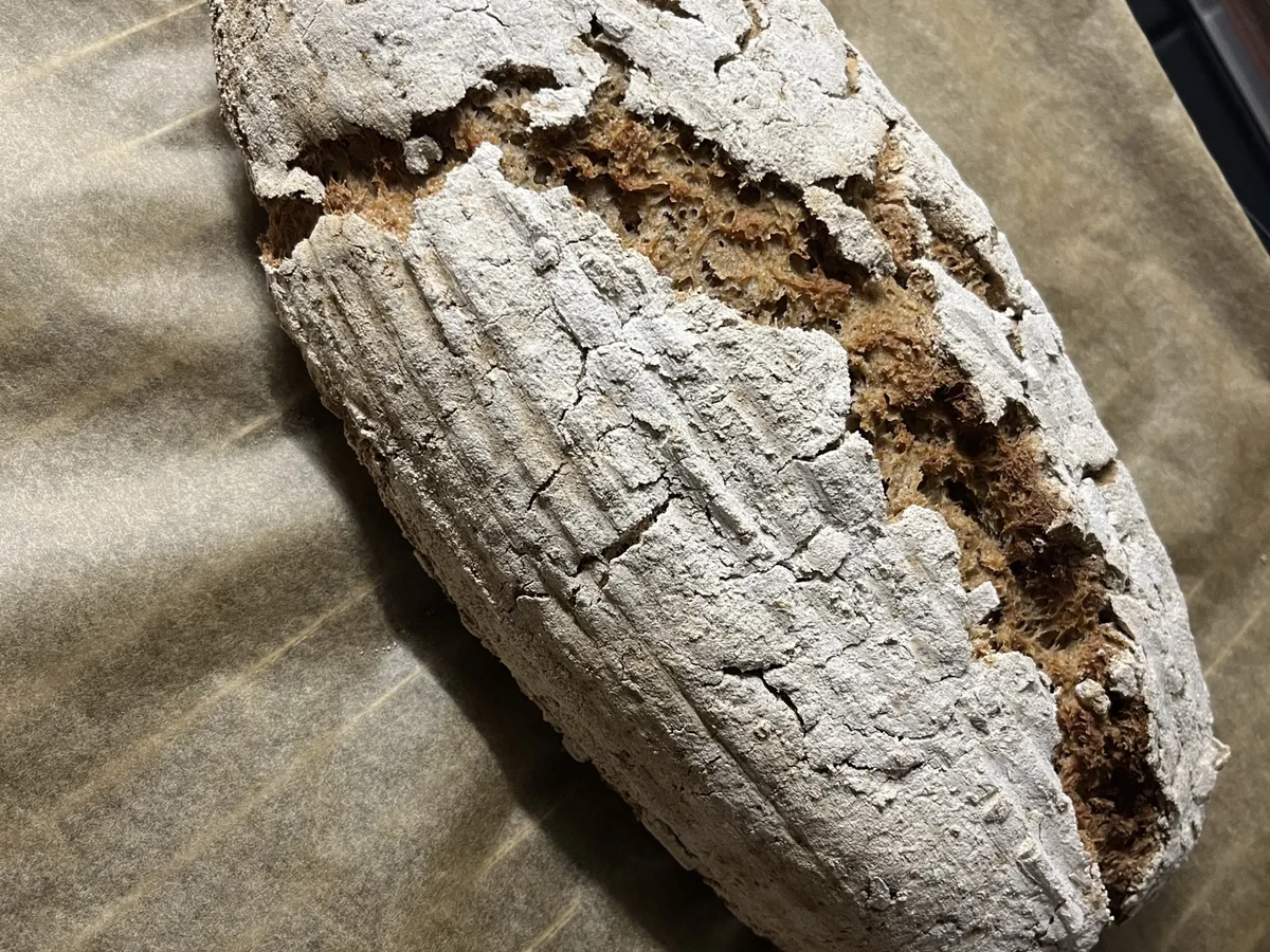 Roggenmischbrot mit Sonnenblumenkernen - Rezept - Bild Nr. 15378