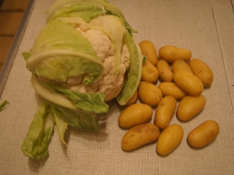 Blumenkohl-Gratin - Rezept - Bild Nr. 3