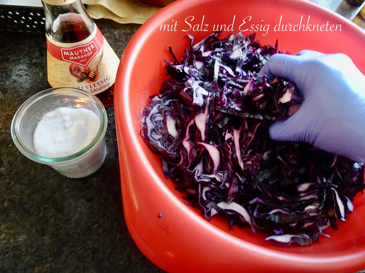 fruchtige Rotkraut Suppe - Rezept - Bild Nr. 15409